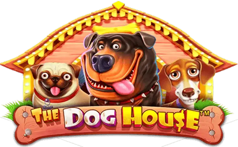 Dog House - mostbets-casino.com.pl
